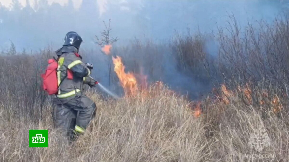    Жителей охваченного пожарами Забайкалья наградят за поимку поджигателей леса