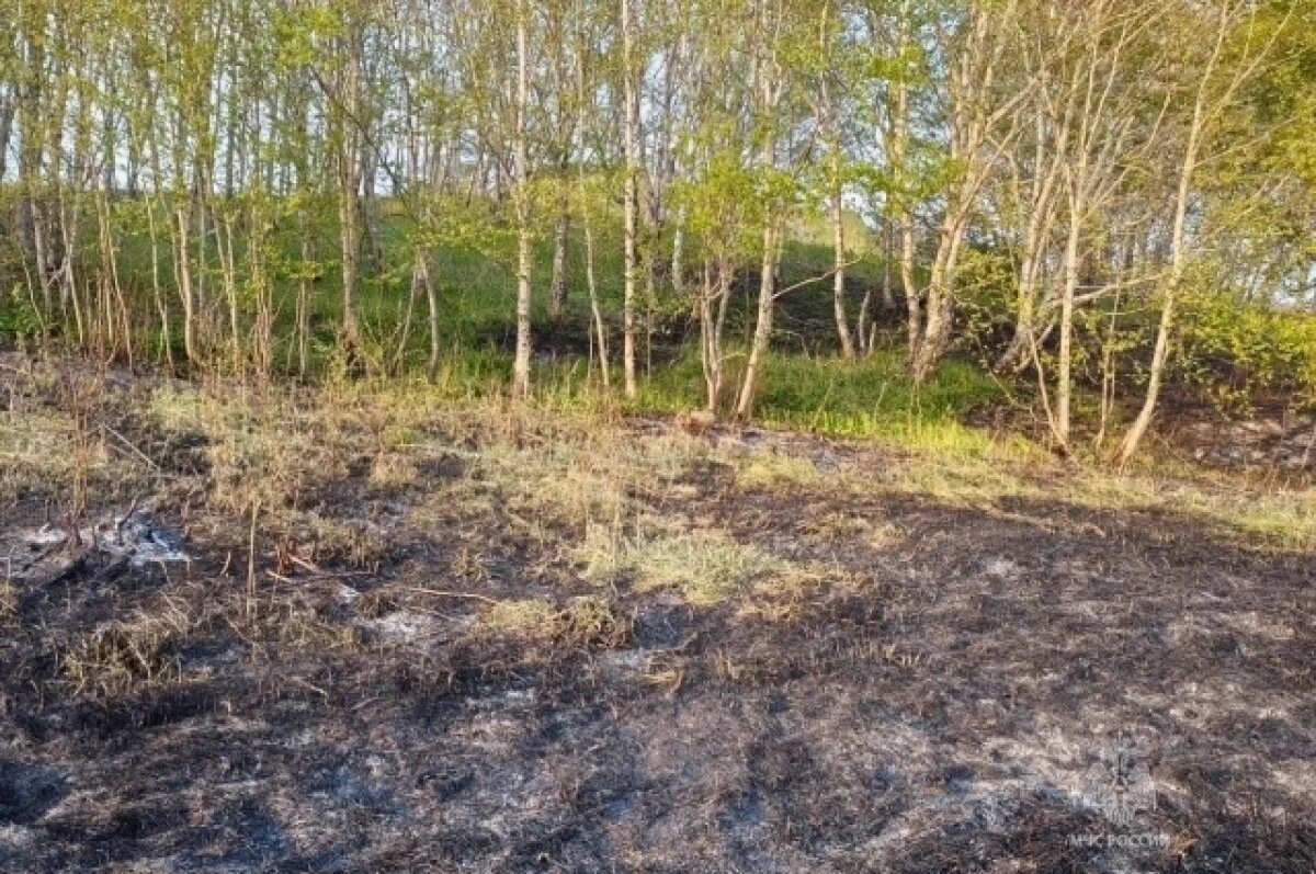    Пожар в районе базы на «Кирпичиках» начался из-за человеческого фактора