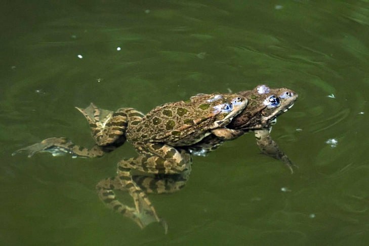    Фото и видео Алина Кухмарь