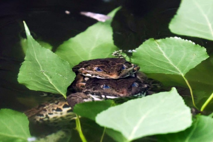 © Фото VN.ru.📷
