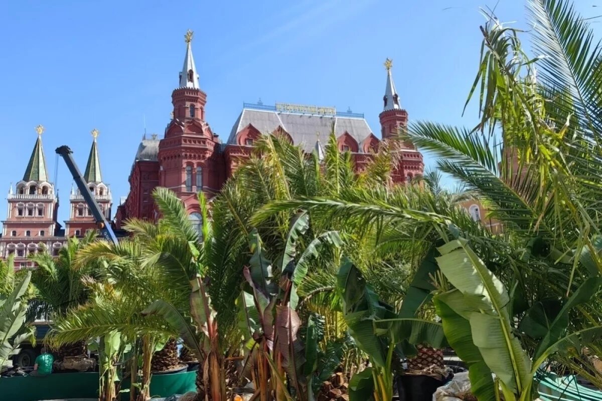    Уже второй год в столице проходит фестиваль «Сады и цветы».