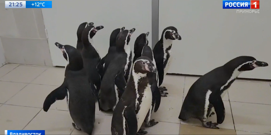    Источник фото: