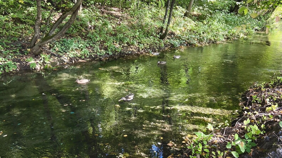     Источник: 1MI