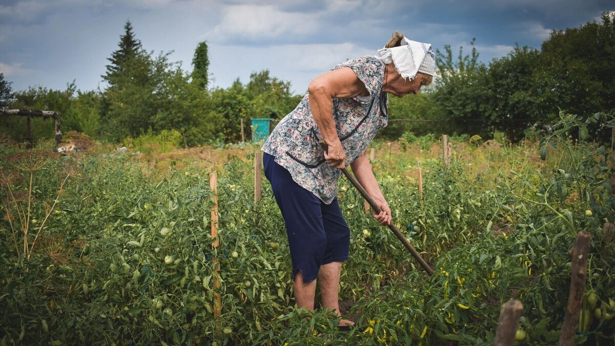     Источник: 1MI