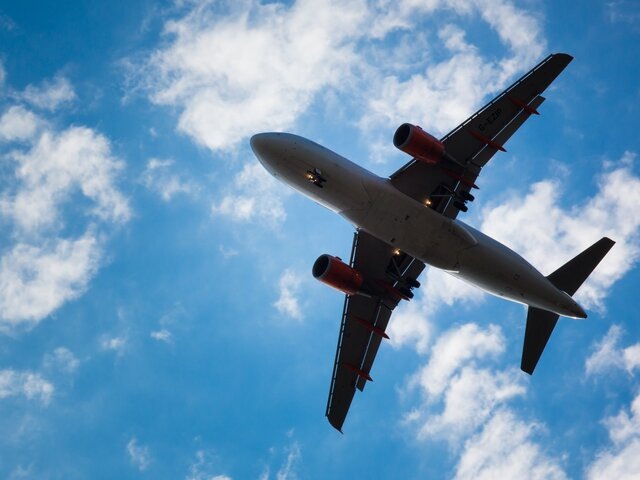    Фото: 123RF/lightpoet