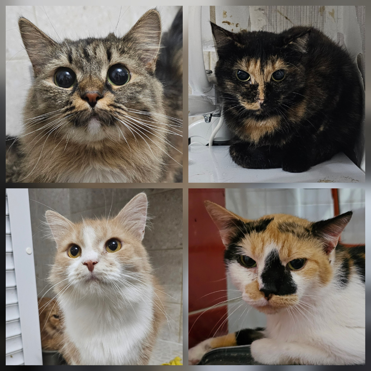 Фото автора. Заболевшие фипом ребята.