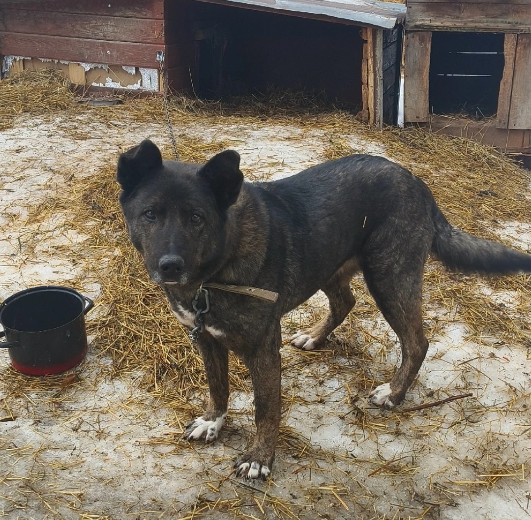 Юлька ждет своего куратора