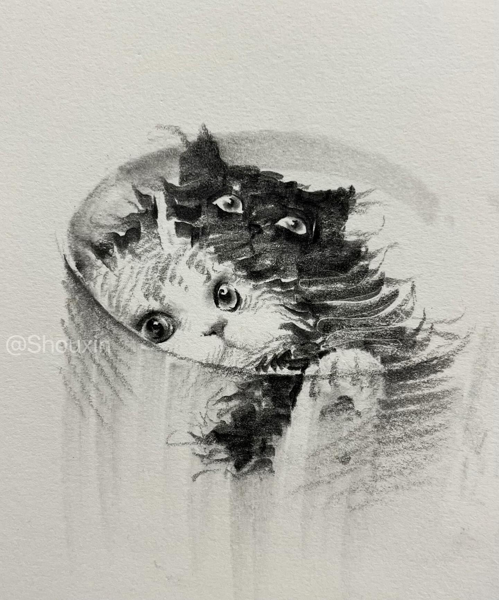 Художник Shou Xin (手訫)