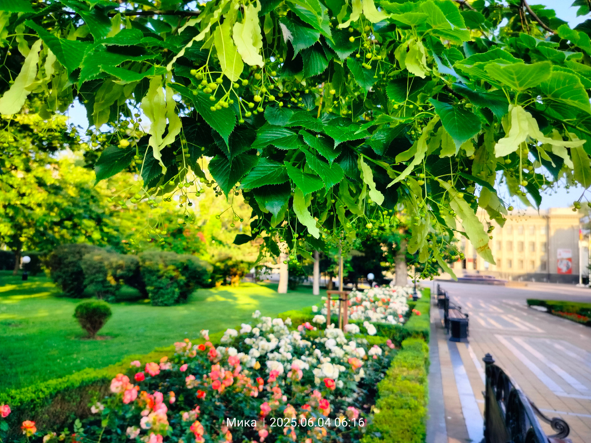 Фото автора статьи. Краснодар. 