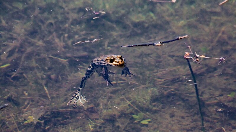     Алтайский край, 2025 год. Дарья Беркетова