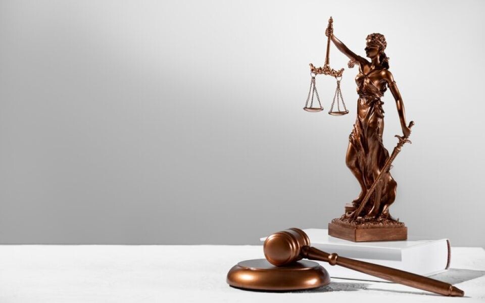    Полиция отзывает свой иск по делу о драке ребенка с сыном алтайского судьи