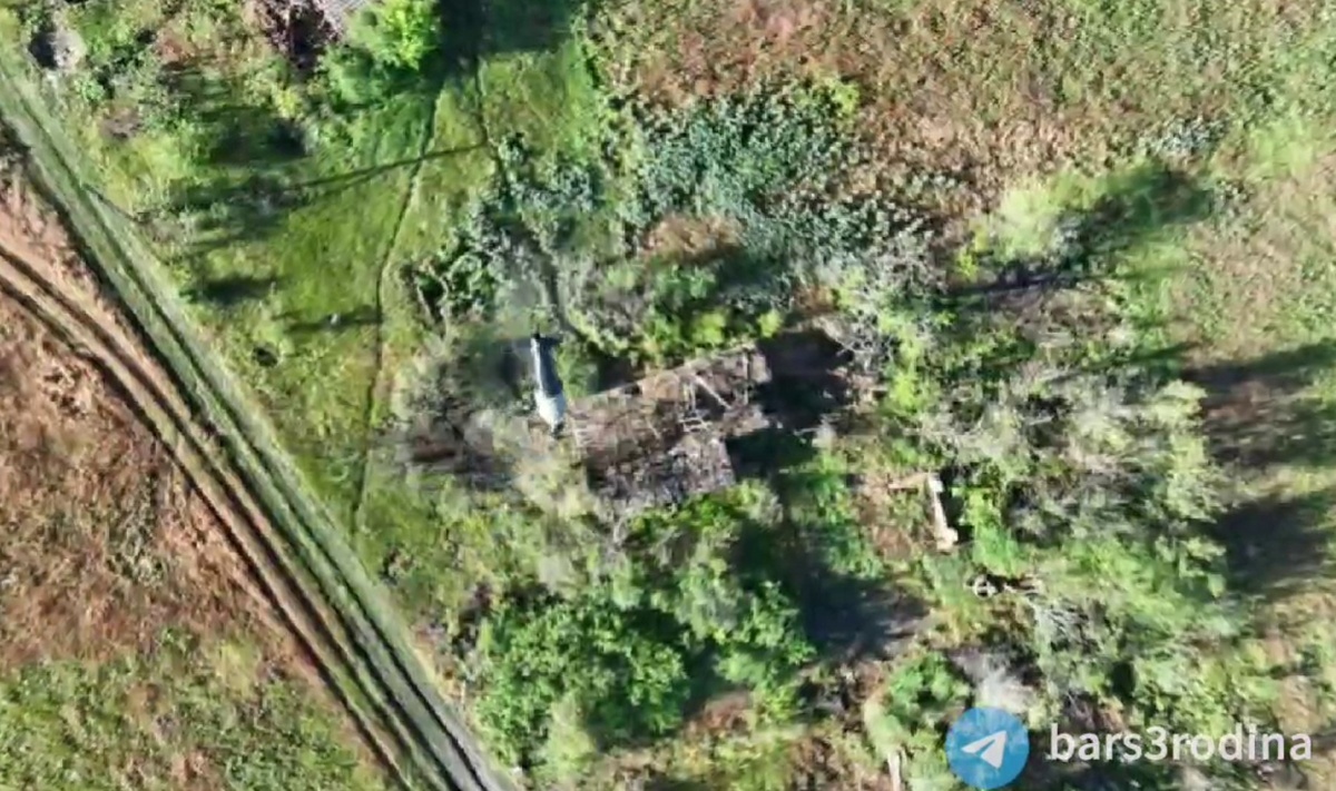    Беспилотники под командой мэра Оренбурга Салмина подбили БТР в зоне СВО Белов Михаил Александрович