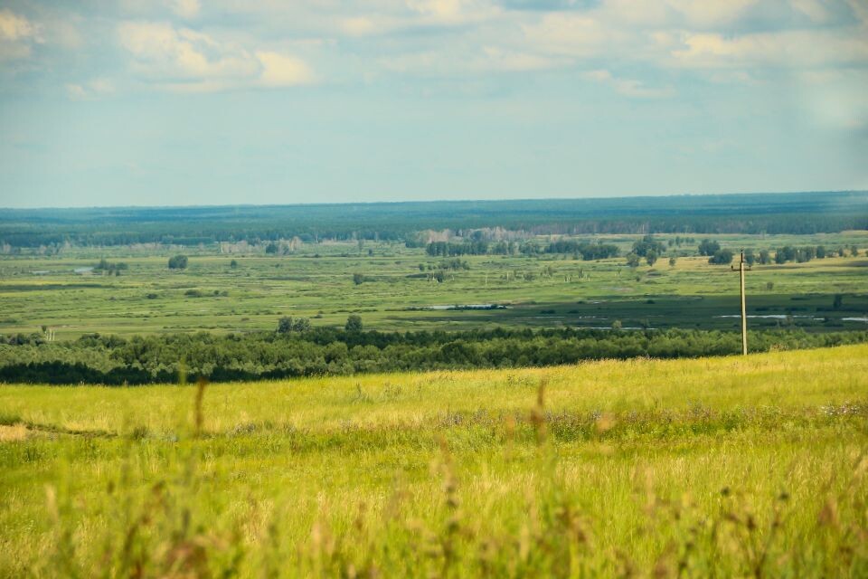    Природа Алтайского края. Источник: Виталий Барабаш