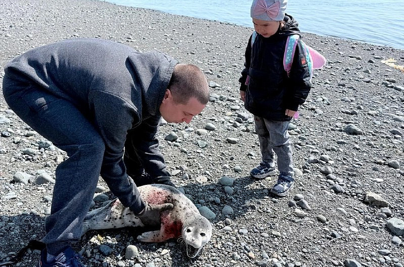 Рыбак Камчатки