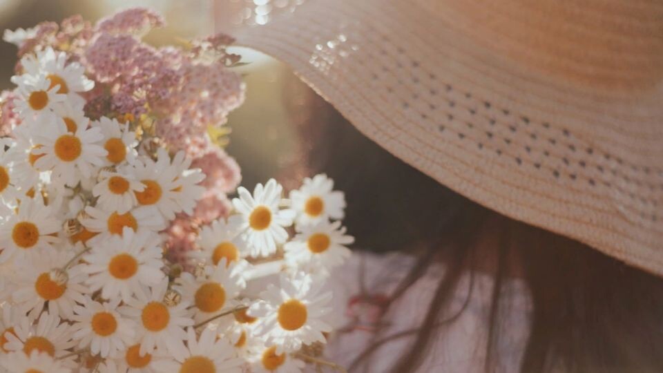    Жара. Лето. Погода. Источник: Анна Меньшикова