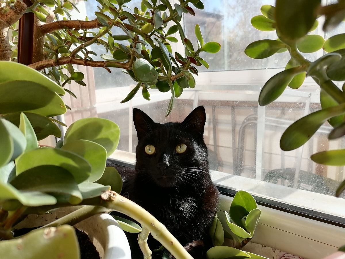 Шаман Фёдор, фото автора