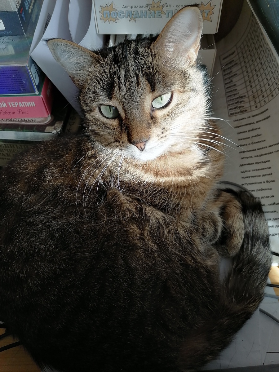 Даша, фото автора