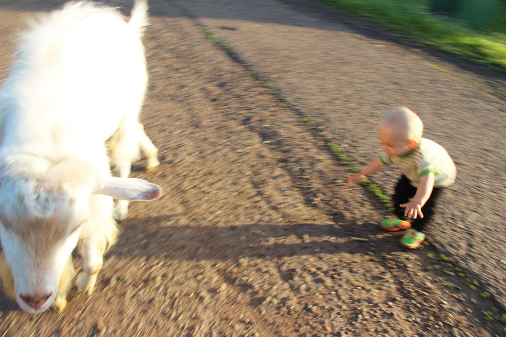 Васик годовасик
