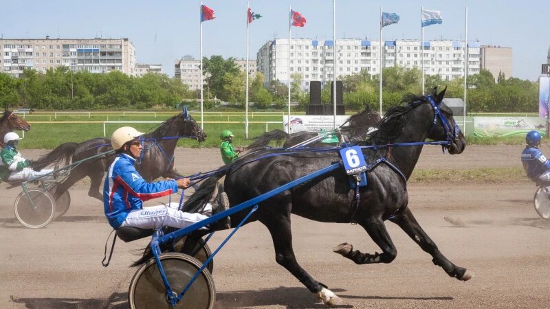     Открытие летнего сезона на Барнаульском ипподроме, 2025 год. Дарья Беркетова