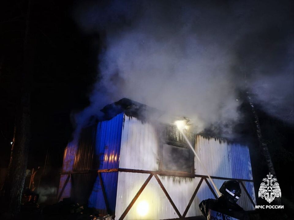    Пожар в селе на Алтае. Источник: МЧС Республики Алтай