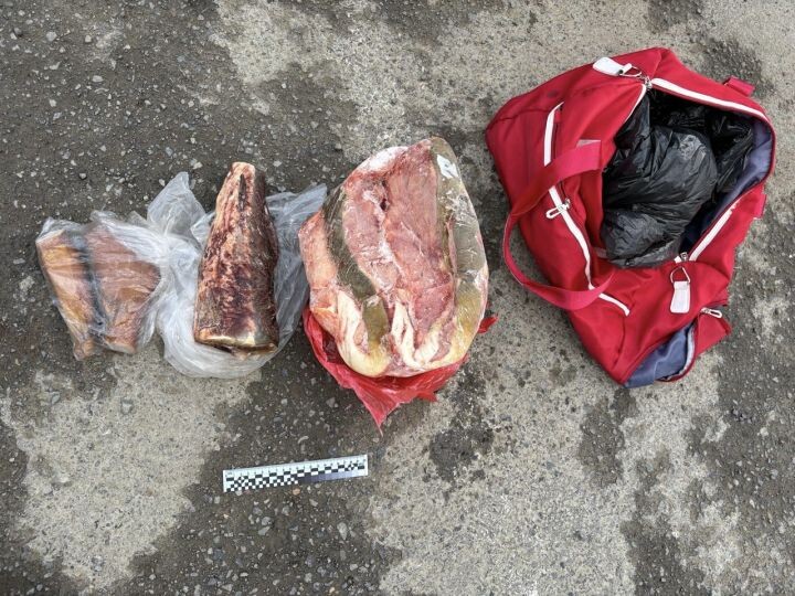    Фото:пресс-служба Управления Министерства внутренних дел РФ по Хабаровскому краю