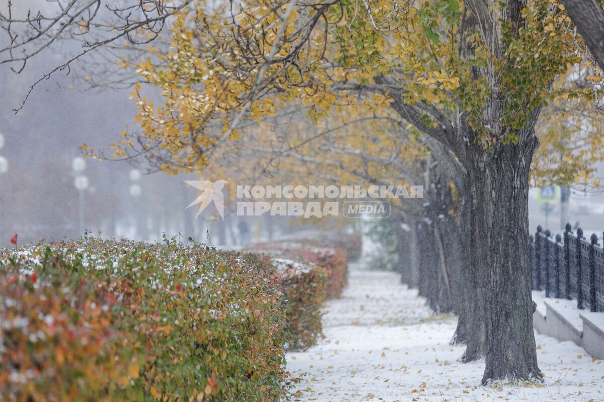 Фото: ЗВОНАРЕВ Валерий