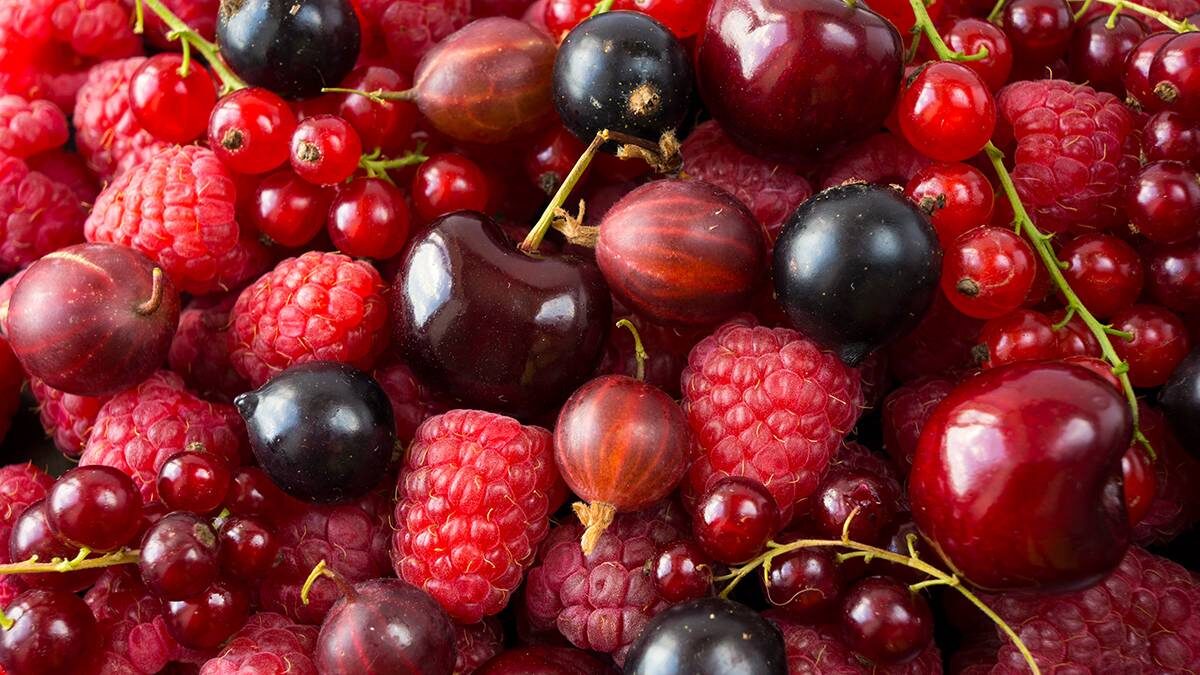    Фото: Shutterstock