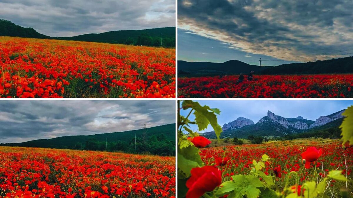 Загляденье