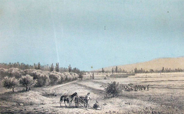 
Ташкент. Окрестности с стороны Минурюкской рощи. С натуры рисов. Д. В. Вележев (илл. из книги П. И. Пашино).