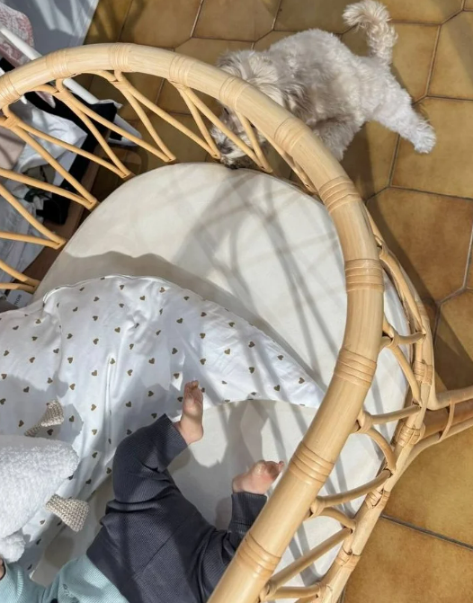    Фото: социальные сети