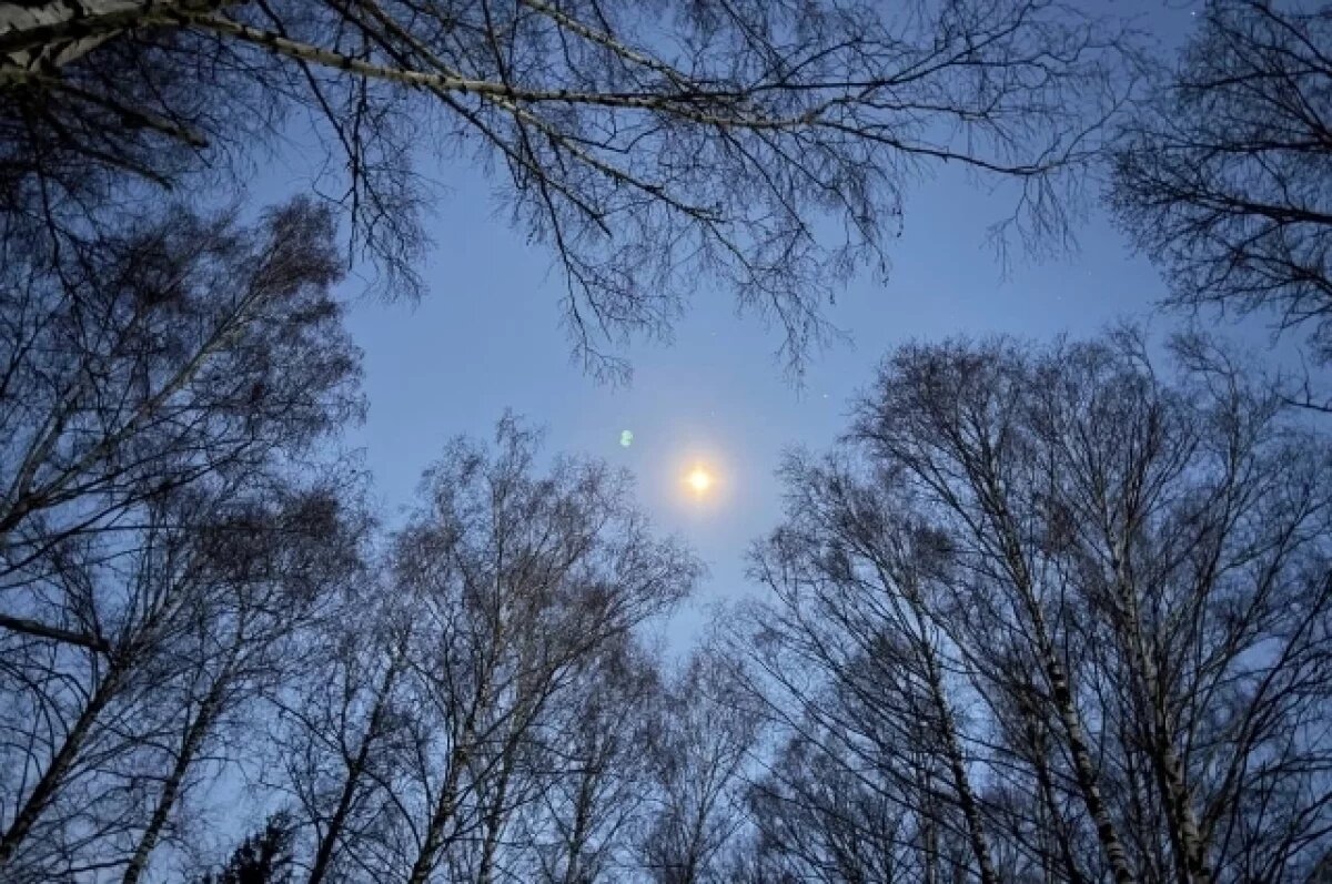    За 5 лет только две пробы воздуха под Пензой не соответствовали требованиям