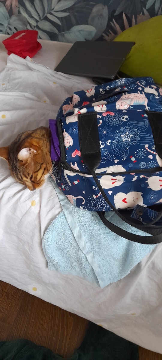 Муся в свой первый учебный день 