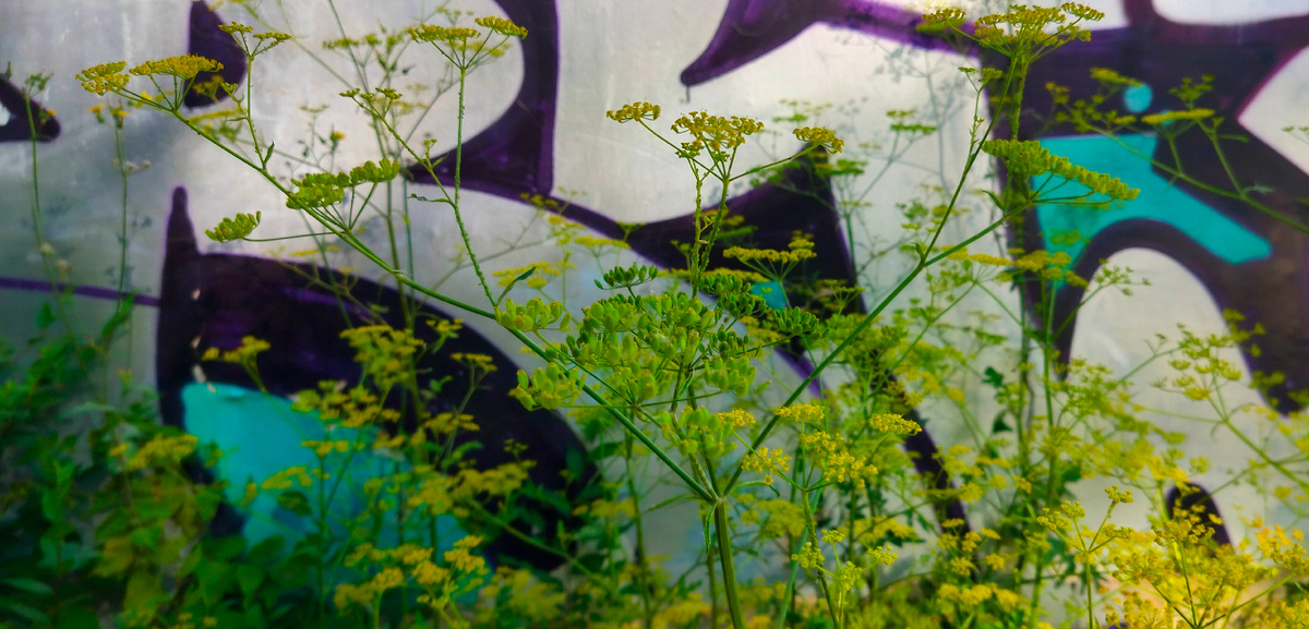 Секрет удачной розничной торговли состоит в том, чтобы дать вашим покупателям то, что они хотят.Сэм Уолтон (1918–1992) — американский предприниматель