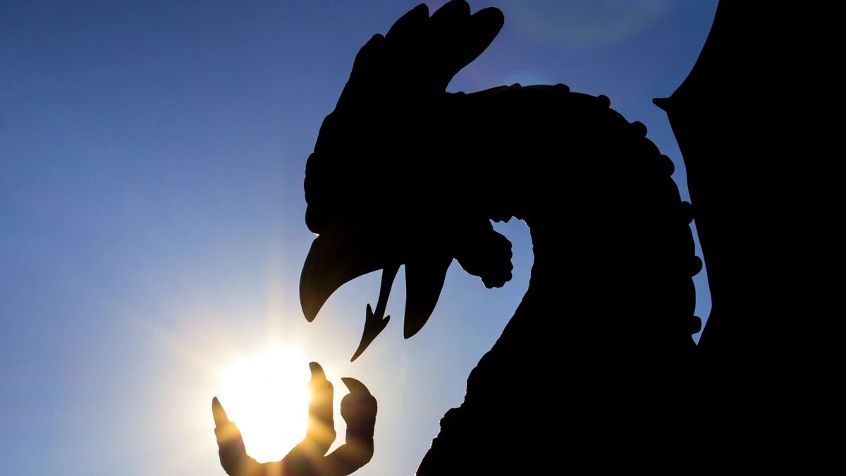    Фото: tntclick/Shutterstock/Fotodom