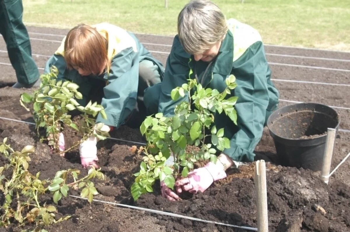    Среди основных статей расходов – благоустройство и развитие го- родской среды.