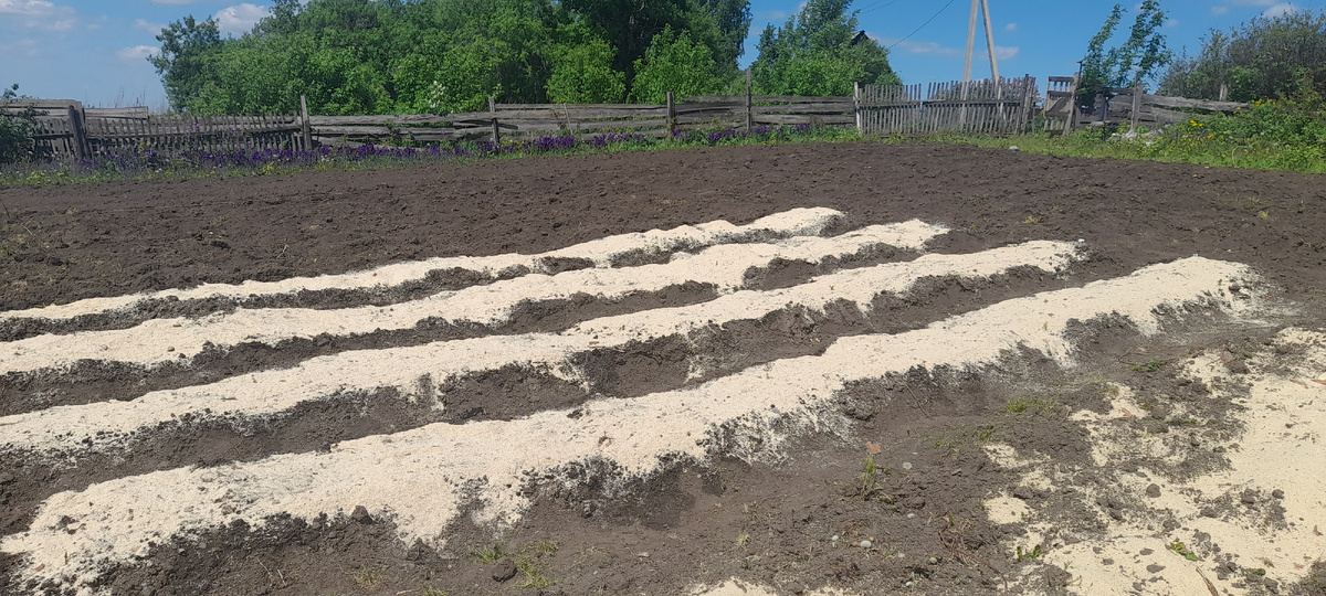 Дел ещё полно но земля не пустует