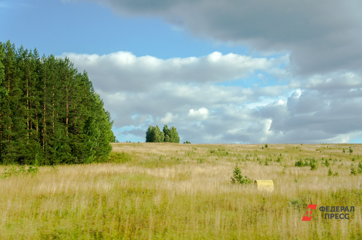 Из нового генплана города 2025 года оказались исключены земельные участки, выданные многодетным в 2017-2018 годах.  Фото: Фото: ФедералПресс / Елена Майорова