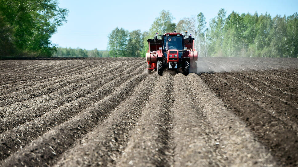 Фото: Влад Некрасов / Коммерсантъ