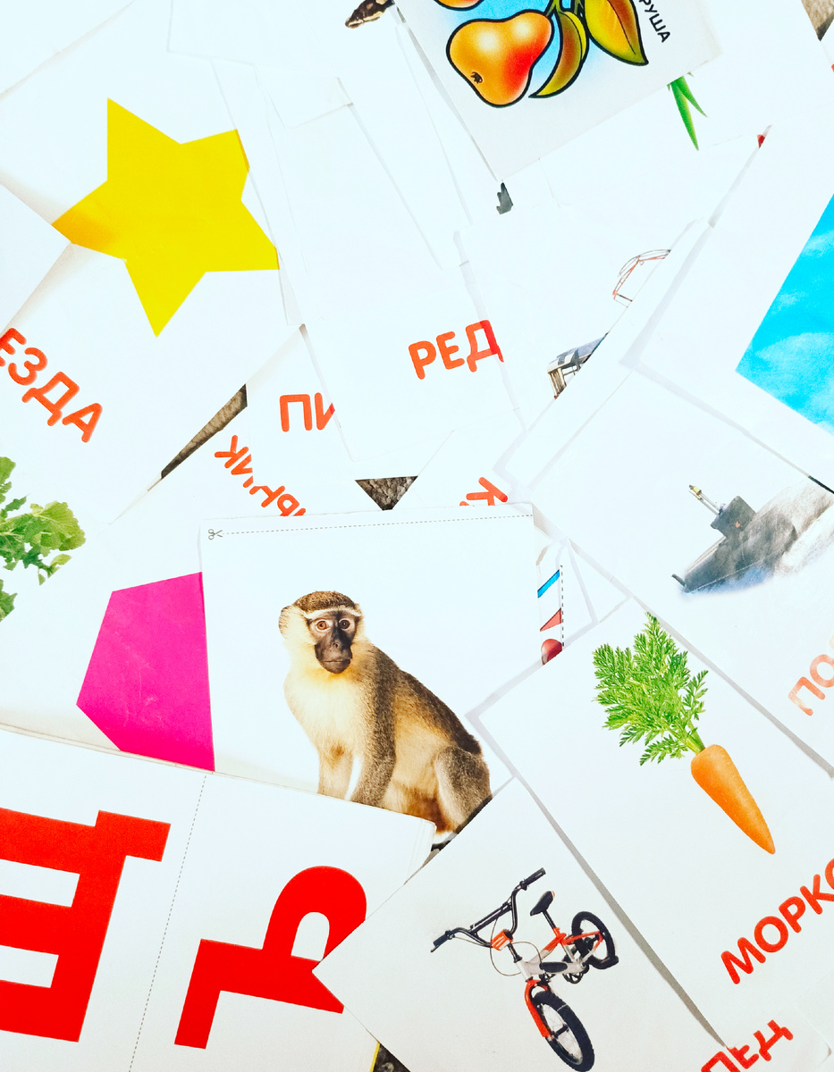 Цена этим карточкам - копейки, продаются везде, представляют всё, что угодно: рыбы, инструменты, буквы, погода, продукты, животные...