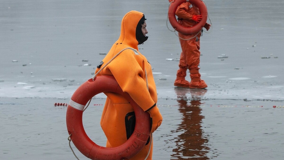     Источник: 1MI