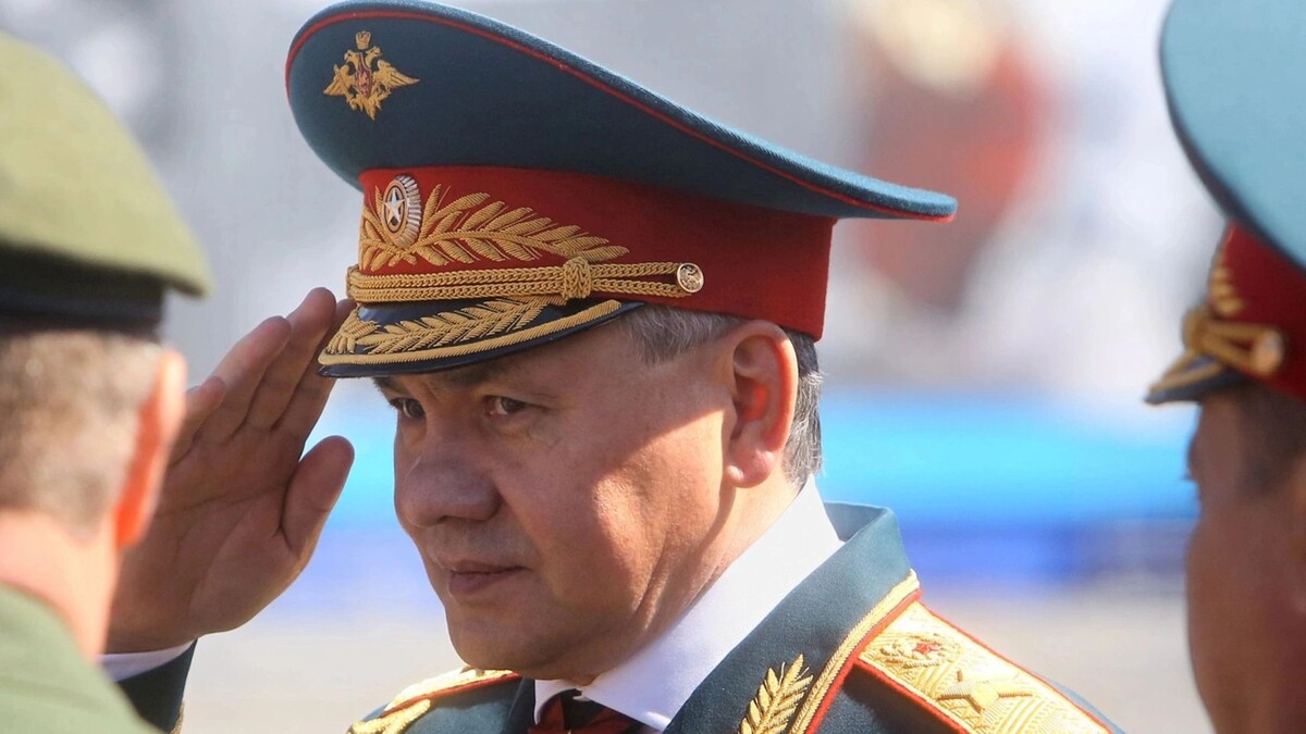    Фото: ProSha/Shutterstock/Fotodom