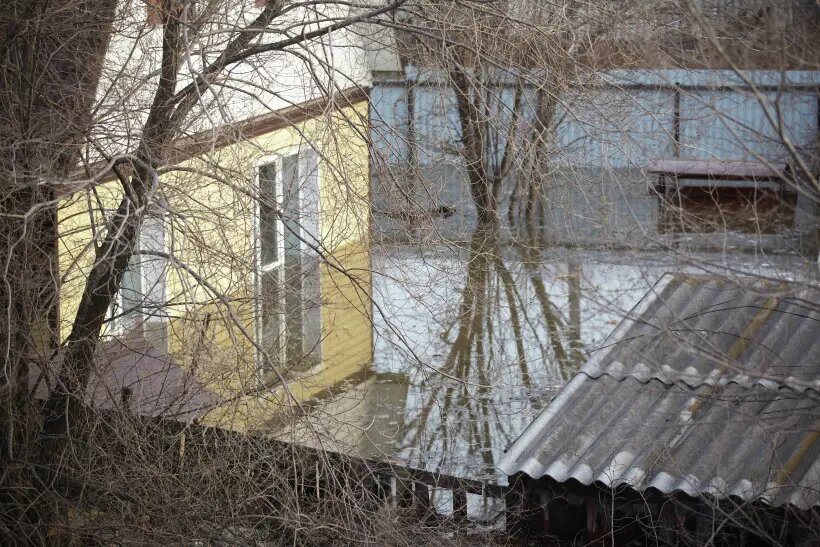     © РИА Новости. Евгений Кузьмин