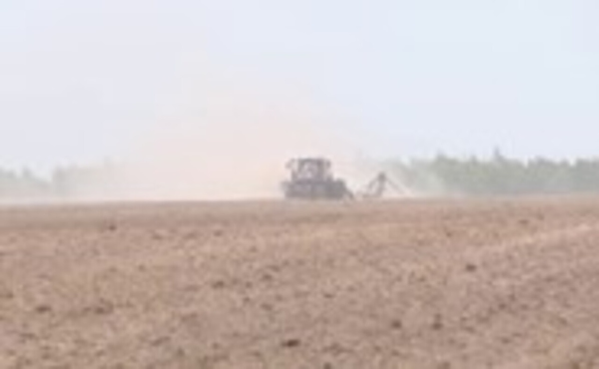    В Курской области подвели итоги весенней посевной кампании