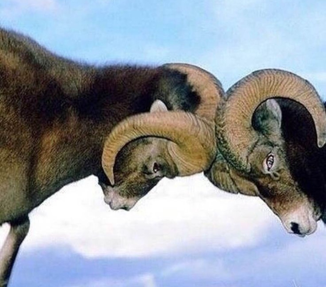 Геополитика