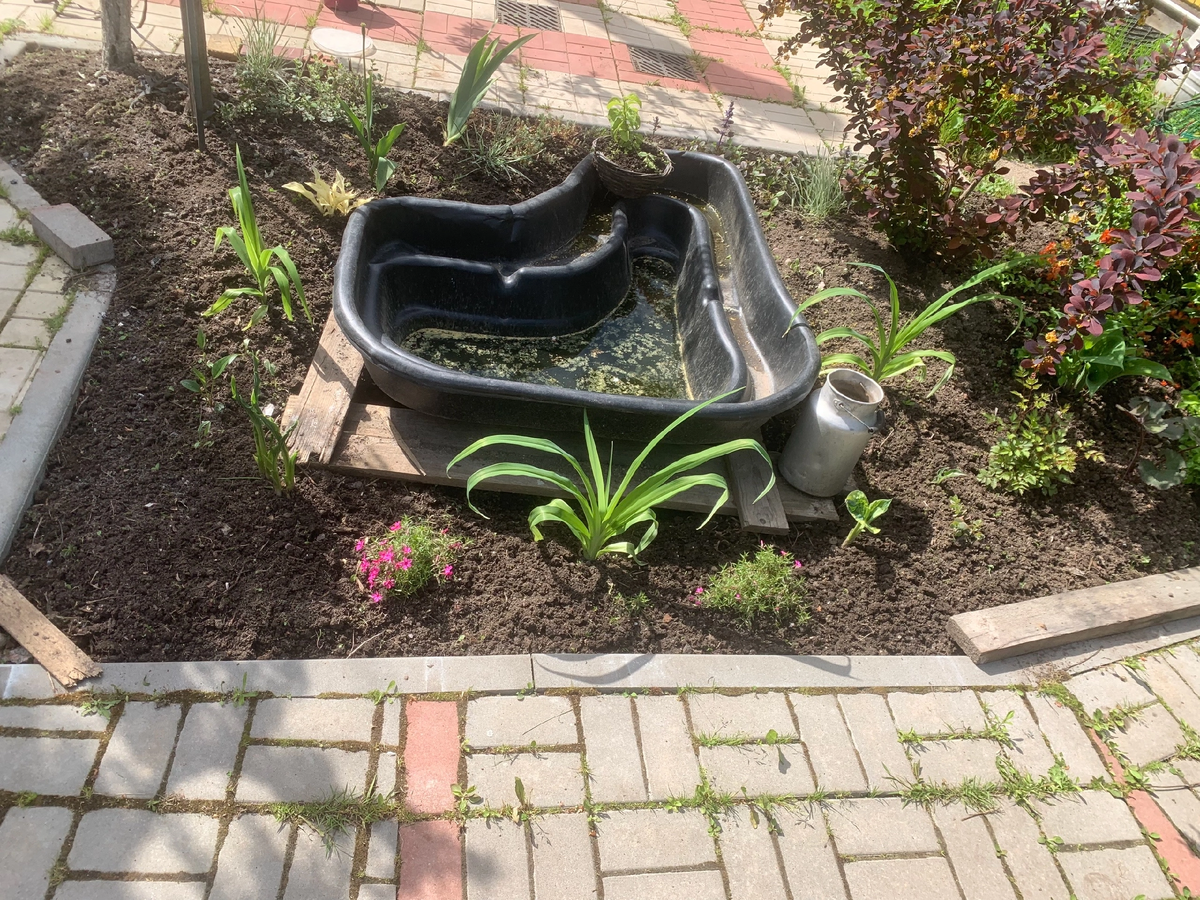 Клумба с прудиком 