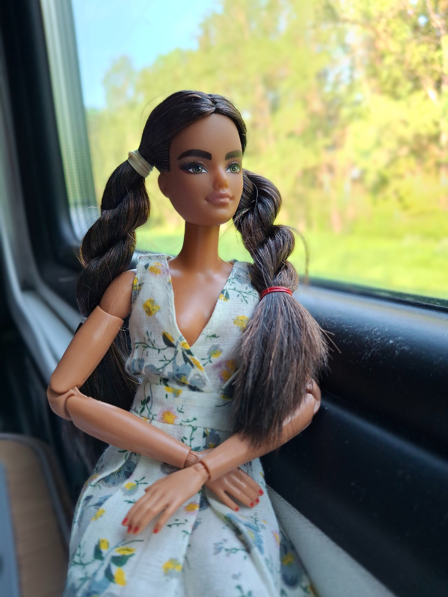 Гелия едет в поезде Москва - Великий Новгород