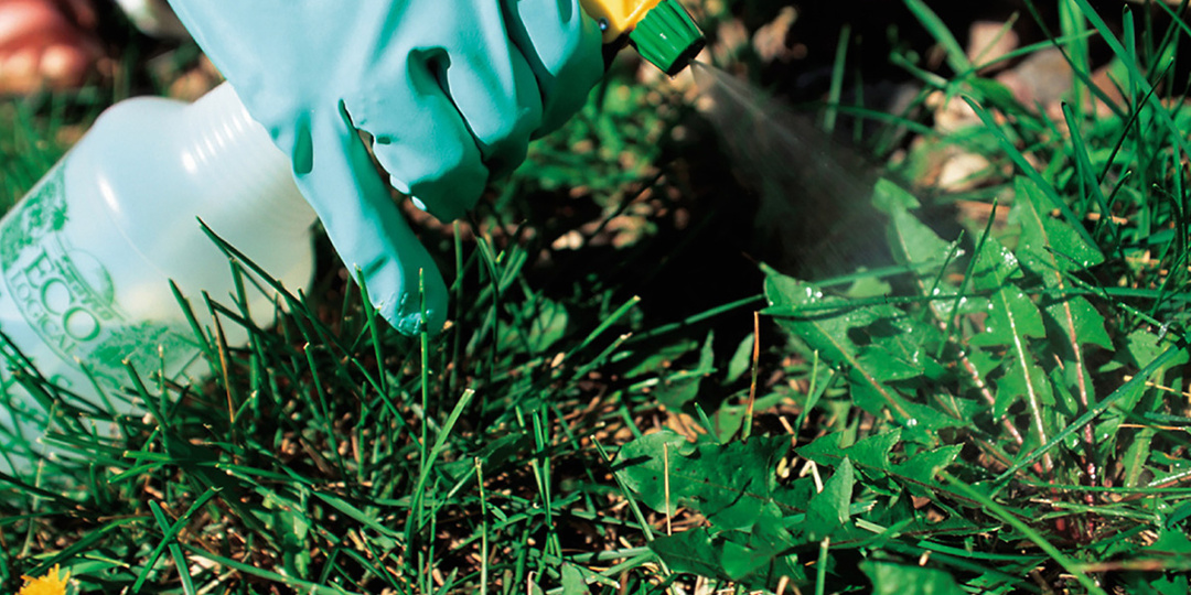 Как избавиться от сорняков без химии: 5 рабочих советов + народные хитрости