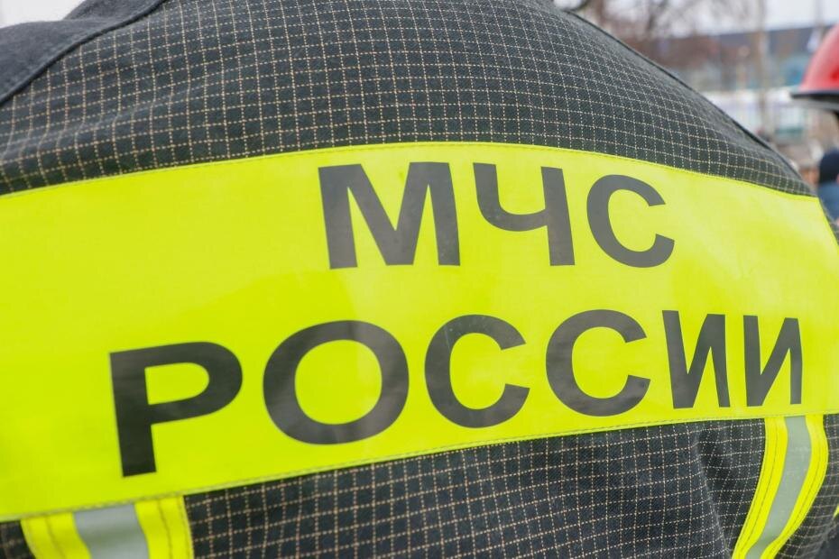    Сергей Петров/NEWS.ru