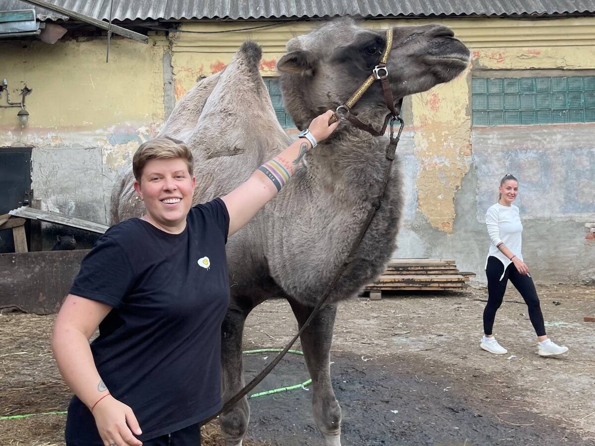 Скорость верблюда при беге в экстремальной ситуации может достигать 65 км/ч                     Фото: Августинка Алена