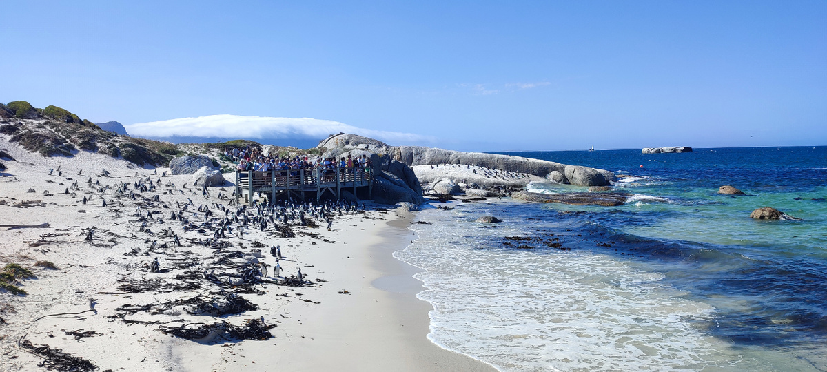 Boulders Beach